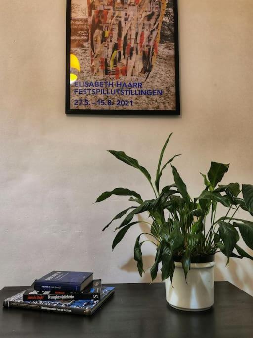 Cosy In Antwerp's Hipster Neighbourhood Apartment Antwerpen